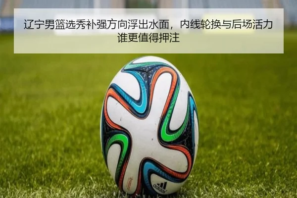 辽宁男篮选秀补强方向浮出水面，内线轮换与后场活力谁更值得押注（kaiyun）