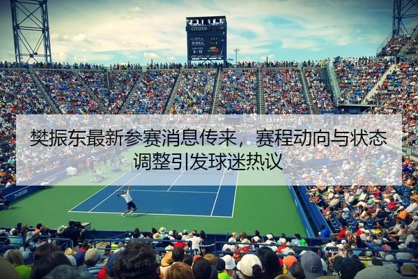 樊振东最新参赛消息传来，赛程动向与状态调整引发球迷热议 | kaiyun