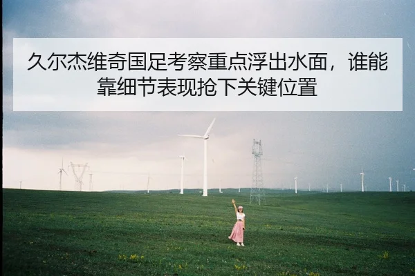 久尔杰维奇国足考察重点浮出水面，谁能靠细节表现抢下关键位置 | kaiyun